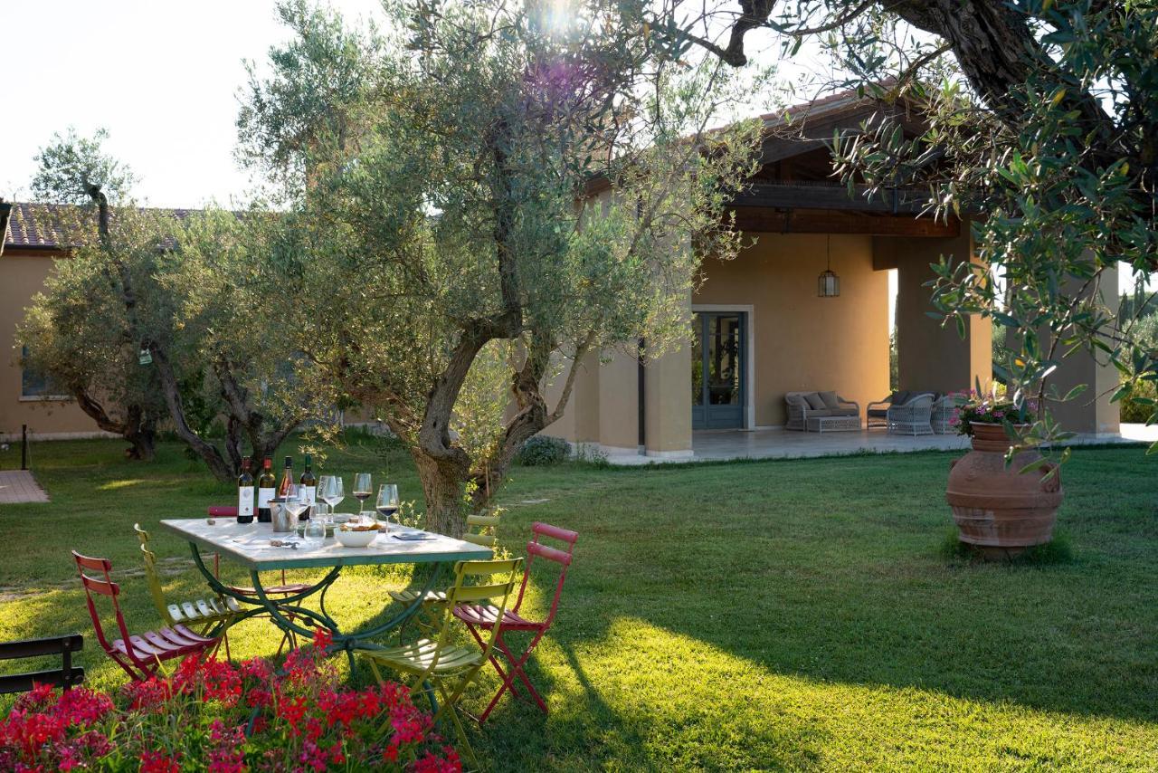 Agriturismo Tra Gli Ulivi, Chiappini Winery Bolgheri Exterior foto