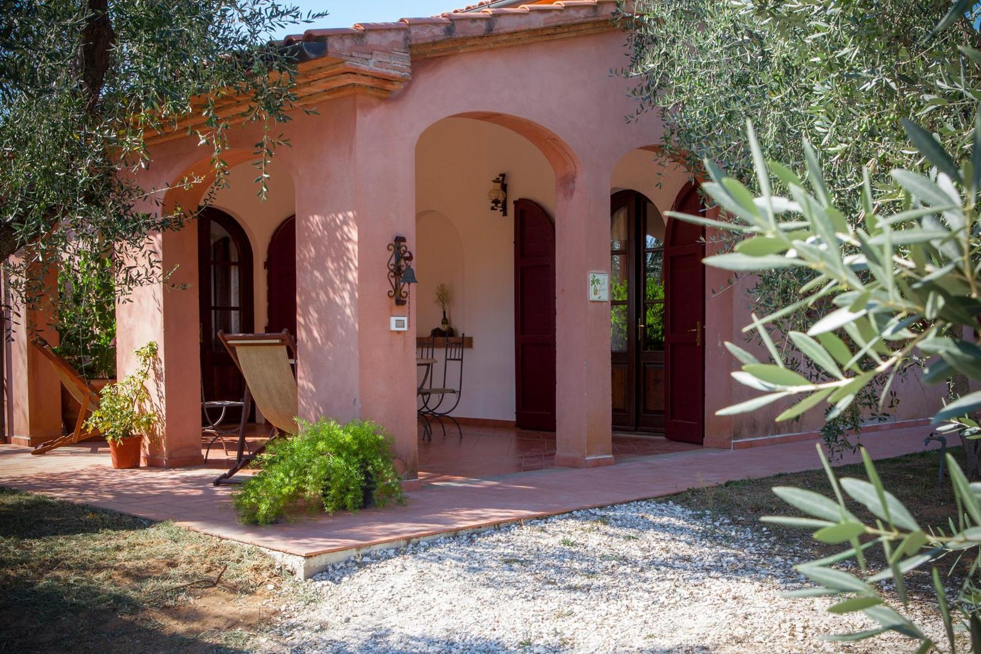 Agriturismo Tra Gli Ulivi, Chiappini Winery Bolgheri Exterior foto