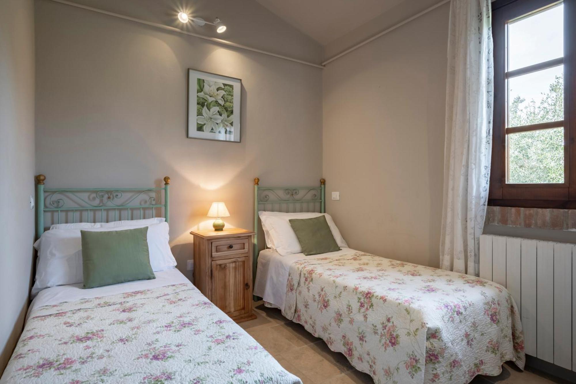 Agriturismo Tra Gli Ulivi, Chiappini Winery Bolgheri Quarto foto