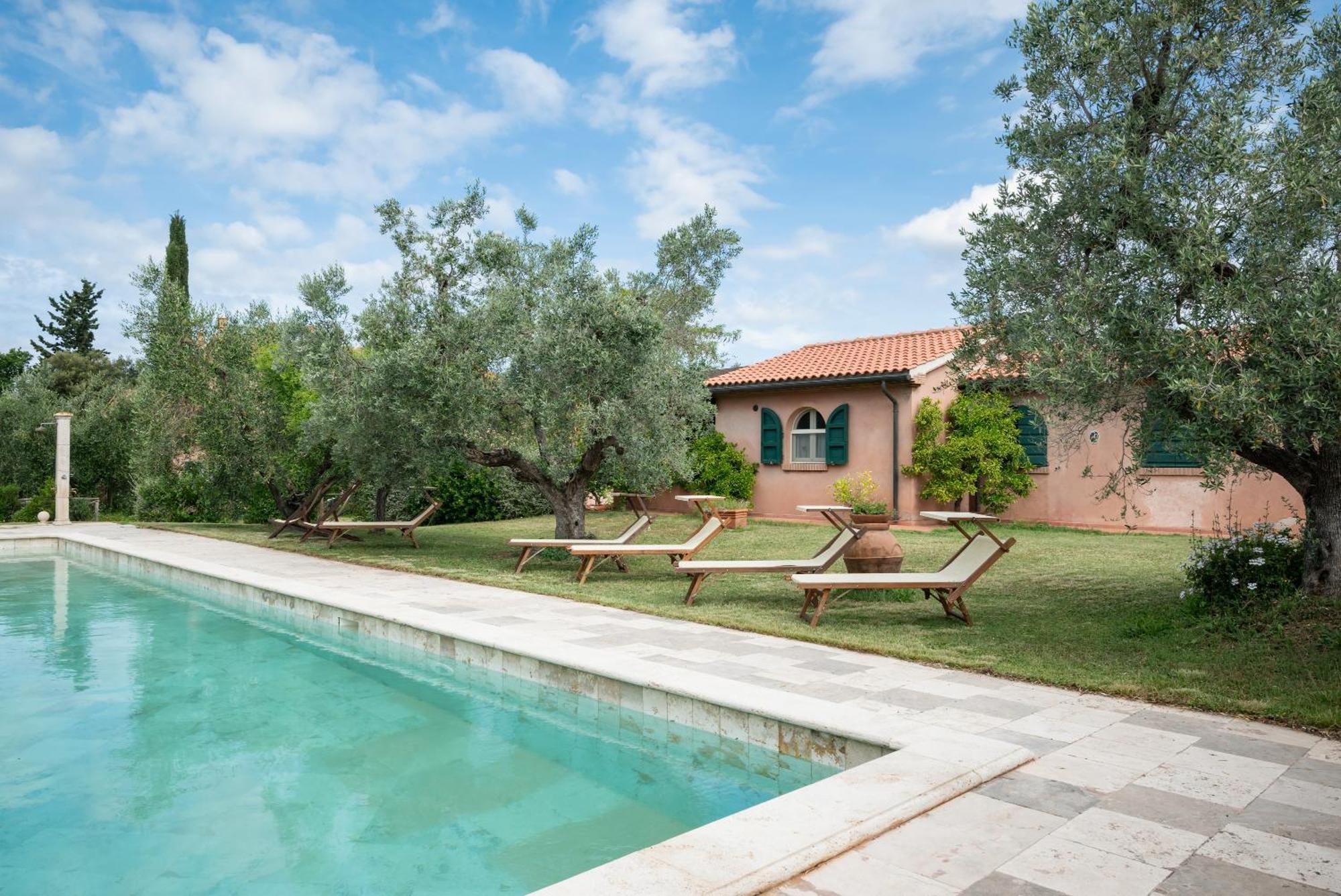 Agriturismo Tra Gli Ulivi, Chiappini Winery Bolgheri Exterior foto