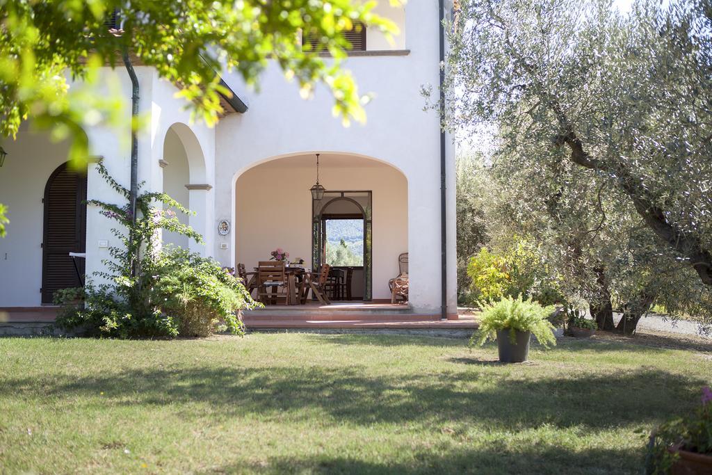 Agriturismo Tra Gli Ulivi, Chiappini Winery Bolgheri Exterior foto