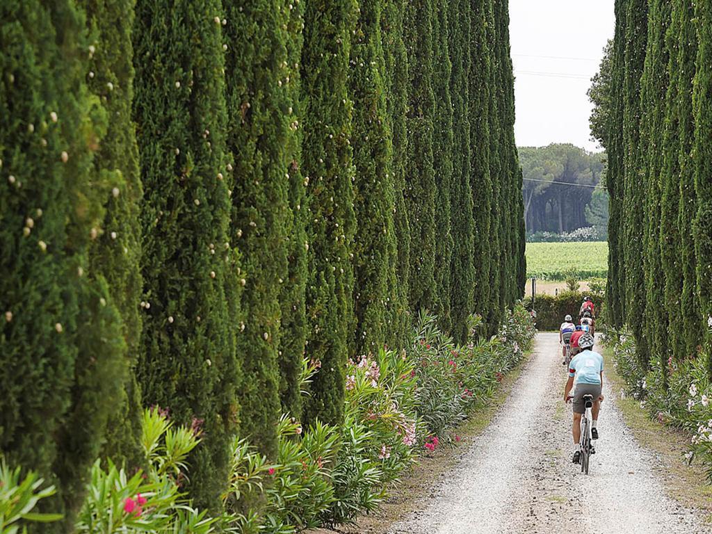 Agriturismo Tra Gli Ulivi, Chiappini Winery Bolgheri Exterior foto