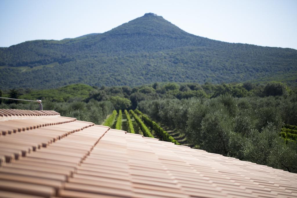 Agriturismo Tra Gli Ulivi, Chiappini Winery Bolgheri Exterior foto